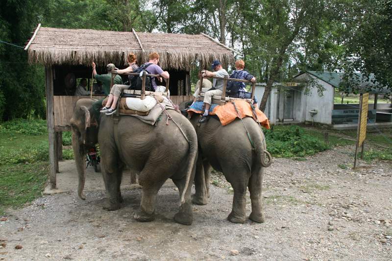 India & Nepal 2011 - 0540